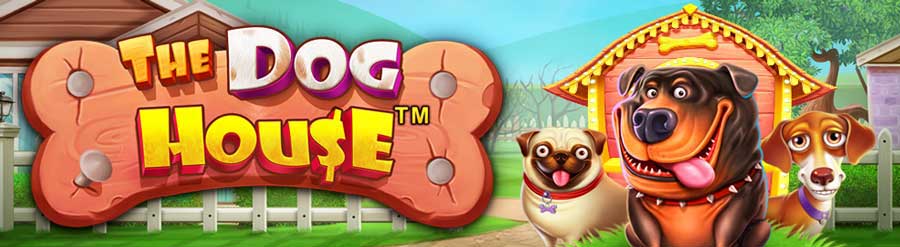 40 Zatočení Zdarma za Vklad nad €1 v Cactus Casino