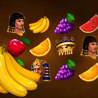 150 Free Spins bez vkladu pro nové hráče v Hotline Casino